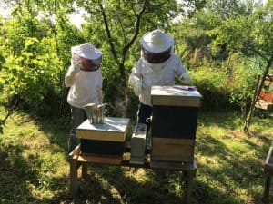 New Substack Post: About Beekeeper Stories