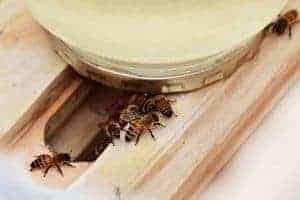 How to Feed Honeybee Colonies