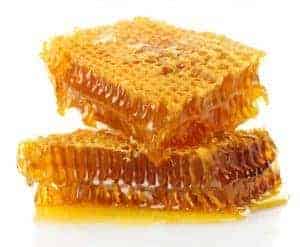 Harvesting Honey