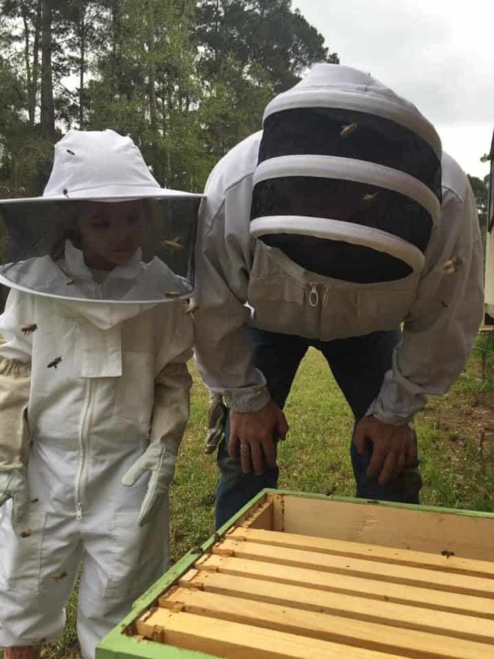 The many ways to enjoy bees