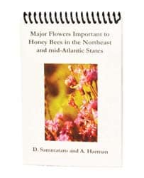 Major Flowers in the Northeast